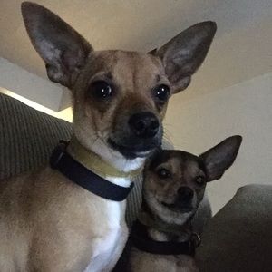 Meet your Posher, Bryan